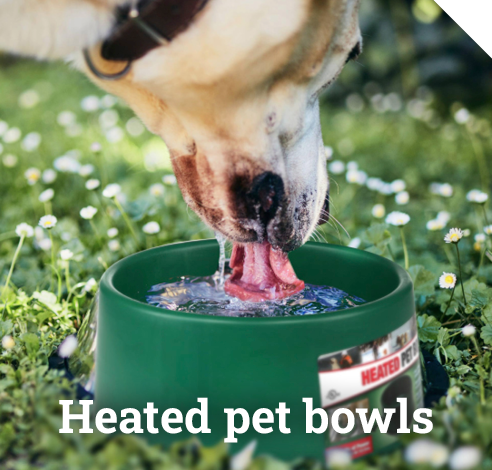 Heated pet bowls