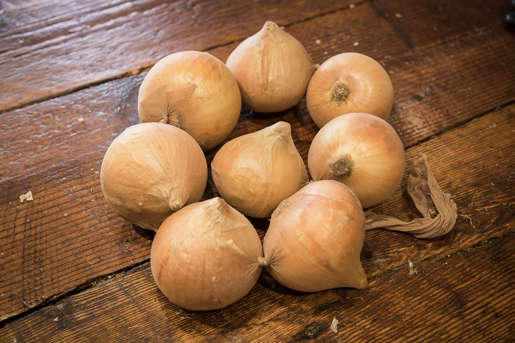 Curing Onions