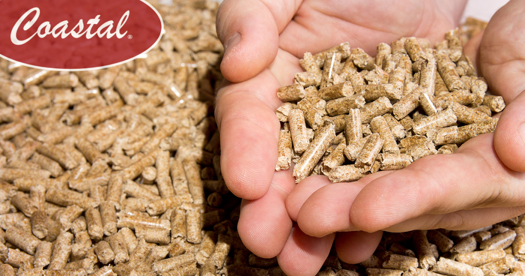 Good quality feed pellets: Does it make sense? - All About Feed