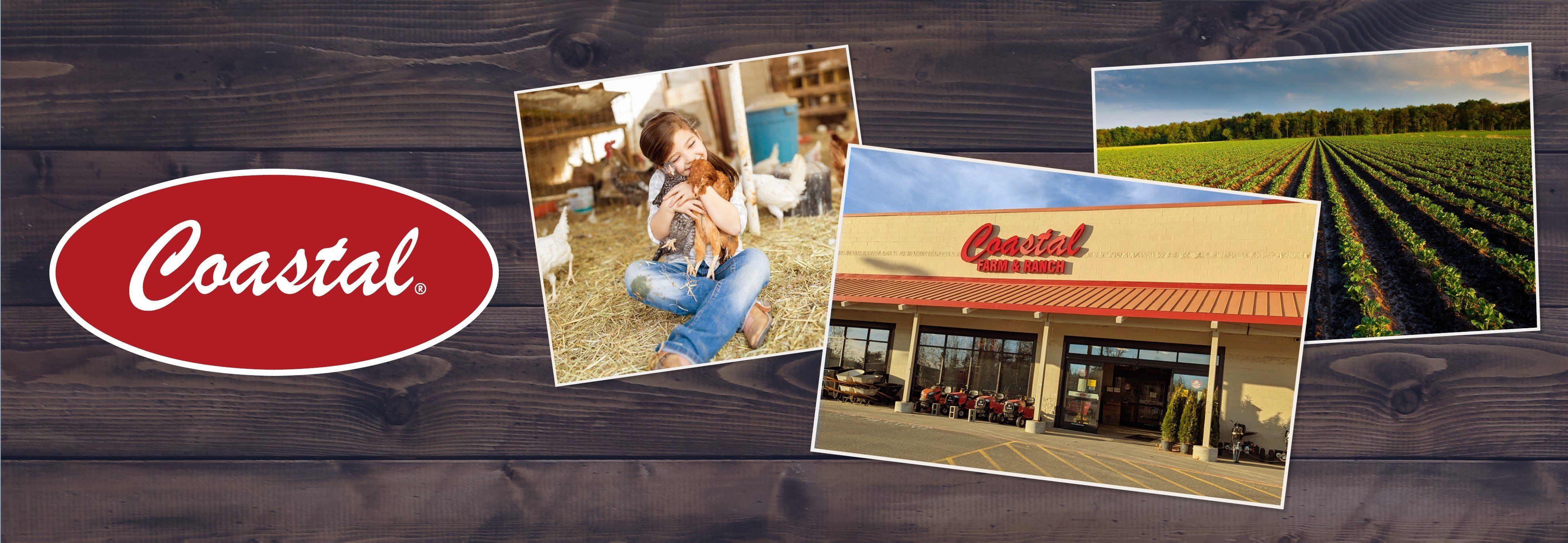 Mount Vernon Store Header Mobile