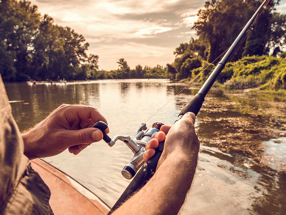 Flies, Lures, and Bait: Comparing Fly Fishing vs Regular Fishing