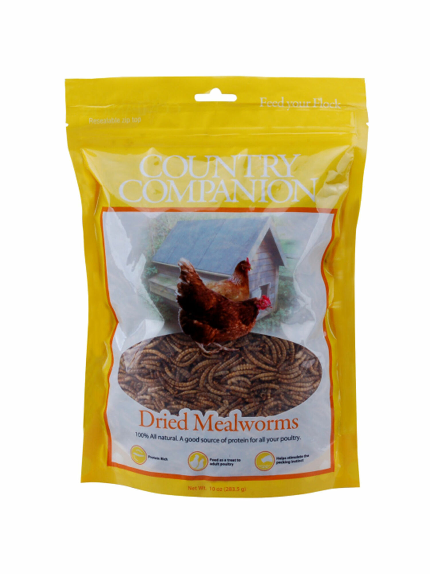 country companion mealworms