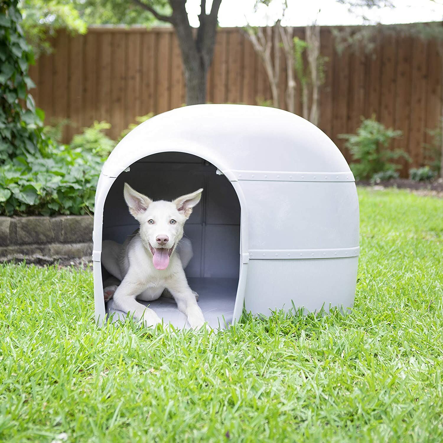 Husky on sale proof kennel