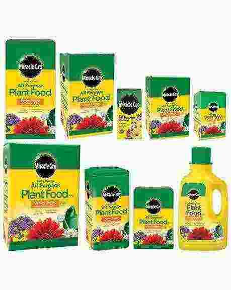 Save on Miracle-Gro All-Purpose Plant Food Water Soluble Powder Order  Online Delivery