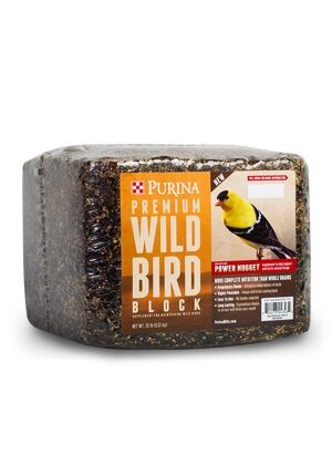 bird food block