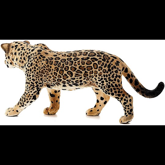 Schleich Wild Life, Animal Figurine, Animal Toys For Boys And Girls 3-8  Years Old, Lion - Toys, Schleich