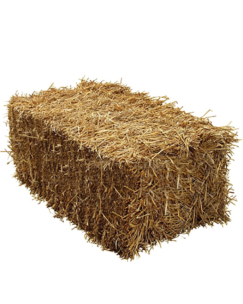 95,000+ Straw Hay Pictures