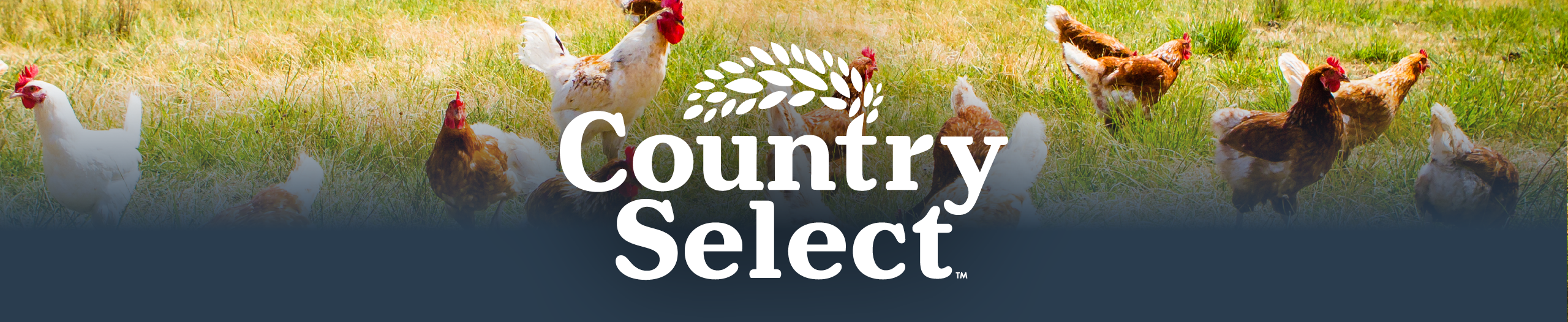 Country Select Feed